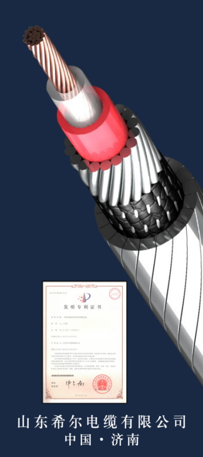 油田专用光电缆线制造商——山东希尔电缆有限公司将亮相cippe2021北京石油展(图2)